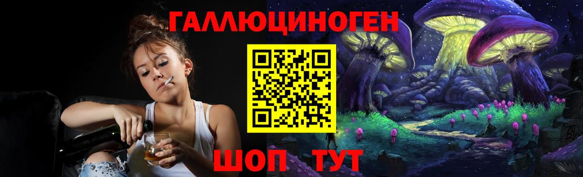 закладка  Галлюциногенные грибы MAGIC MUSHROOMS  Вход с VPN  Кисловодск 